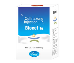 BIOCEF 1GRM INJECTION