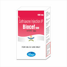 BIOCEF 500MG INJECTION